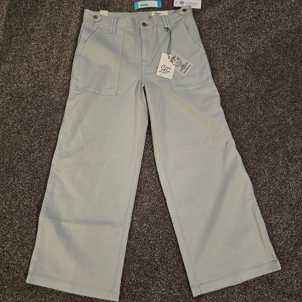 Wide Leg Utility Pants in Pale Light Aqua Blue- Cosmic Blue 30/10 BNWT